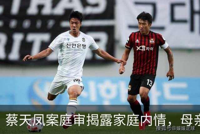 蔡天凤案庭审揭露家庭内情，母亲直言前夫家如同吸血鬼